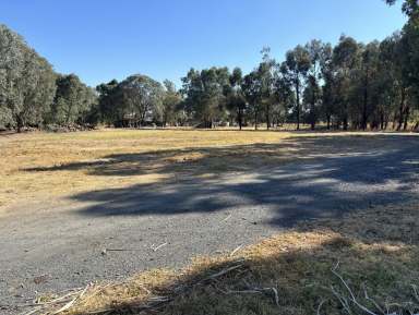 Farm For Sale - NSW - Culcairn - 2660 - LAND WITH LIFESTYLE  (Image 2)