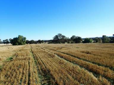 Farm For Sale - VIC - Rutherglen - 3685 - EXCELLENT BUILDING SITE "GLEN DEE" KILBORN ROAD RUTHERGLEN VIC 3690  (Image 2)