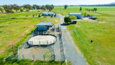 Farm For Sale - NSW - Gerogery - 2642 - LIFESTYLE PROPERTY AND HORSE HAVEN CLOSE TO TOWN  (Image 2)