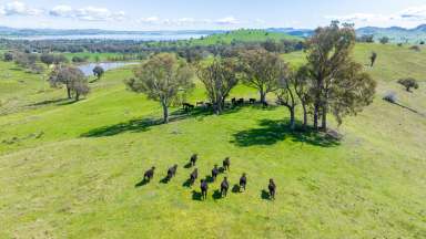 Farm For Sale - VIC - Talgarno - 3691 - FABULOUS HOME SITES, WEIR VIEWS  (Image 2)