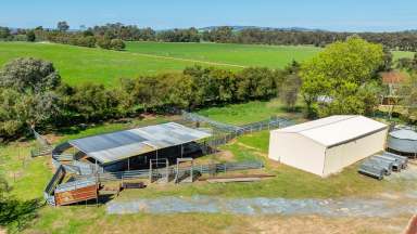 Farm Auction - NSW - Walla Walla - 2659 - RURAL LIFESTYLE WITHIN 30 MINUTES OF ALBURY  (Image 2)