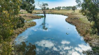 Farm Auction - NSW - Alma Park - 2659 - MIXED FARMING BLOCK AT ALMA PARK  (Image 2)