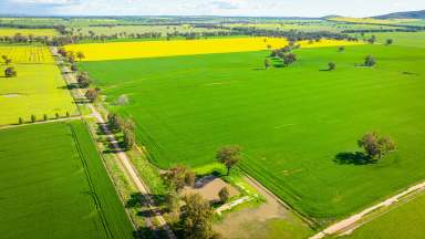 Farm For Sale - NSW - Walbundrie - 2642 - VERSATILE FARMING LAND  (Image 2)