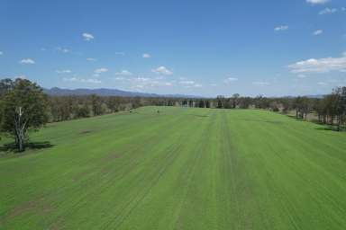 Farm For Sale - QLD - Boyne Valley - 4680 - Loloma - Hay, Grain & Grazing!  (Image 2)