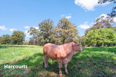 Farm For Sale - NSW - Minimbah - 2312 - Start Your Dream on the Farm  (Image 2)