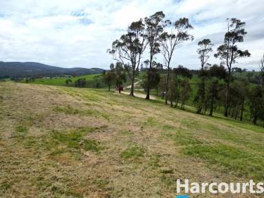 Farm For Sale - VIC - Jindivick - 3818 - As Far As The Eye Can See  (Image 2)