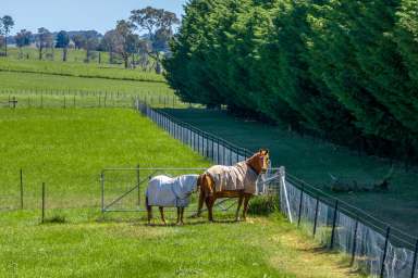 Farm Auction - NSW - Crookwell - 2583 - Redground at Wheeo  (Image 2)