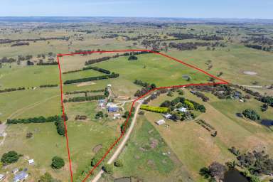 Farm For Sale - NSW - Crookwell - 2583 - Redground at Wheeo  (Image 2)