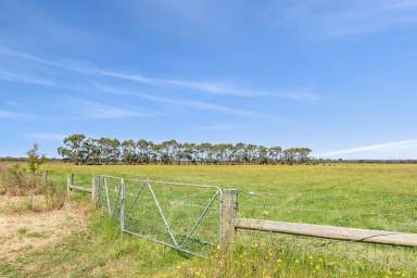 Farm For Sale - VIC - St Leonards - 3223 - Prime Rural Offering on The Beautiful Bellarine  (Image 2)