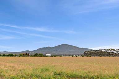 Farm For Sale - VIC - Lara - 3212 - Farming Zone Acreage Close to Lara West PSP  (Image 2)