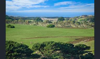 Farm For Sale - VIC - Port Fairy - 3284 - Position with Potential  (Image 2)