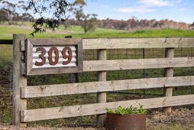 Farm For Sale - VIC - Scotsburn - 3352 - Escape to Tranquillity and Space; Your Dream Country Lifestyle Awaits!  (Image 2)