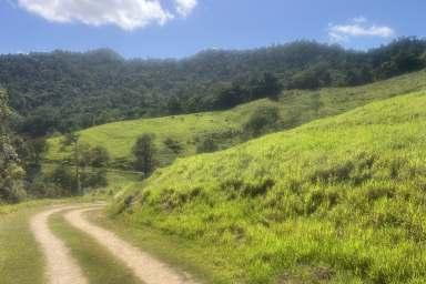 Farm For Sale - QLD - Finch Hatton - 4756 - A Rare Off-Grid Tropical Retreat  (Image 2)