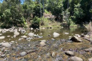 Farm For Sale - QLD - Finch Hatton - 4756 - A Rare Off-Grid Tropical Retreat  (Image 2)