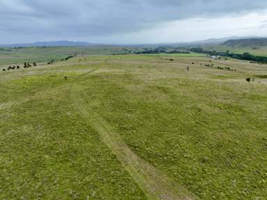 Farm For Sale - NSW - Denman - 2328 - "Bronte Park" Productive Rural Holding on Martindale Creek  (Image 2)