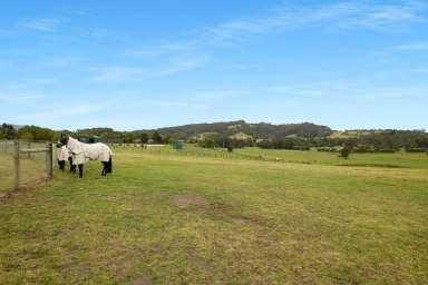 Farm For Sale - NSW - Far Meadow - 2535 - Discover Rural Bliss: Premier Equestrian Property Near Berry  (Image 2)