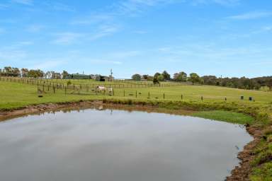 Farm For Sale - NSW - Far Meadow - 2535 - Discover Rural Bliss: Premier Equestrian Property Near Berry  (Image 2)