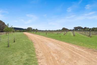 Farm For Sale - NSW - Collector - 2581 - "Painters Gully" Paradise  (Image 2)