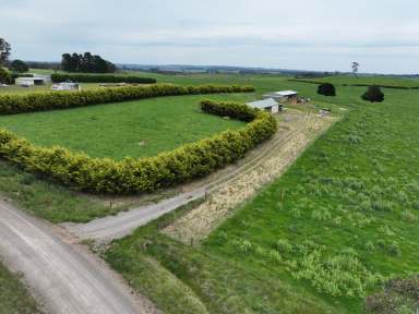 Farm Auction - NSW - Crookwell - 2583 - AUCTION - BLUE RIBBON, FATTENING & FARMING COUNTRY  (Image 2)