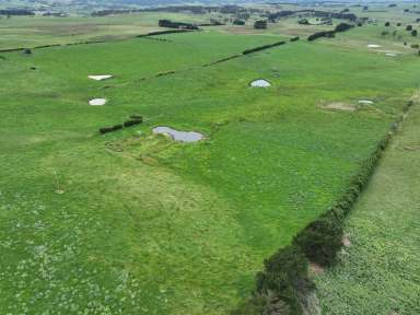 Farm Auction - NSW - Crookwell - 2583 - AUCTION - BLUE RIBBON, FATTENING & FARMING COUNTRY  (Image 2)