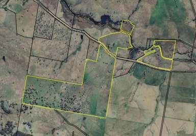 Farm Auction - NSW - Delegate - 2633 - 'Noamunga' Rolling hills and river frontage.  (Image 2)