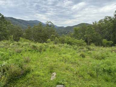 Farm For Sale - NSW - Caffreys Flat - 2424 - Riverside Retreat!  (Image 2)