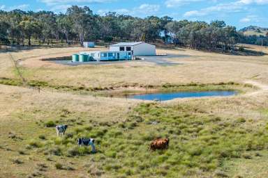 Farm For Sale - NSW - Hovells Creek - 2794 - BRAND NEW HOME, POSITIONED ON 132ACRES, JUST 15MINS TO WYANGALA WATERS!  (Image 2)