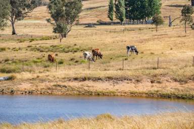 Farm For Sale - NSW - Hovells Creek - 2794 - BRAND NEW HOME, POSITIONED ON 132ACRES, JUST 15MINS TO WYANGALA WATERS!  (Image 2)