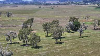 Farm Auction - QLD - Habana - 4740 - Coastal Acreage Paradise: Once-in-a-Lifetime Opportunity  (Image 2)