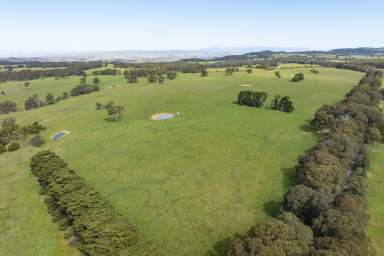 Farm Auction - VIC - Creightons Creek - 3666 - "Eaglewood Park" - 800 Acres* of High Rainfall Grazing  (Image 2)