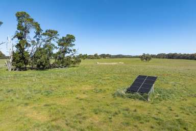 Farm Auction - VIC - Creightons Creek - 3666 - "Eaglewood Park" - 800 Acres* of High Rainfall Grazing  (Image 2)