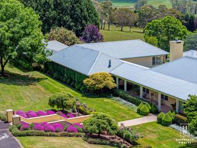 Farm For Sale - NSW - Moss Vale - 2577 - Impressive Lifestyle Estate  (Image 2)