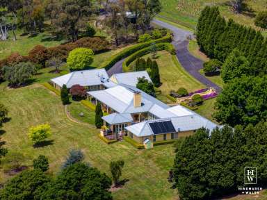 Farm For Sale - NSW - Moss Vale - 2577 - Impressive Lifestyle Estate  (Image 2)