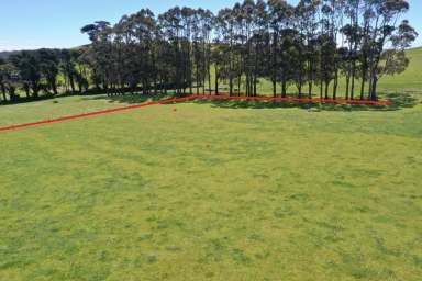 Farm For Sale - TAS - Irishtown - 7330 - Build Your Dream Home in Irishtown!  (Image 2)