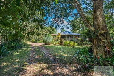 Farm For Sale - NSW - Terania Creek - 2480 - 3-Bed Timber Home on 17 Acres with Creek Frontage and Lush Gardens  (Image 2)