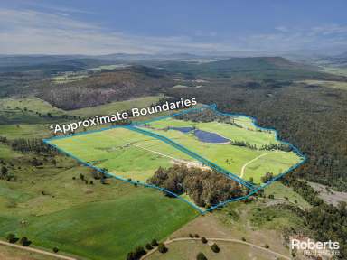 Farm For Sale - TAS - Sassafras - 7307 - 200 acres of fertile land in renowned Sassafras  (Image 2)