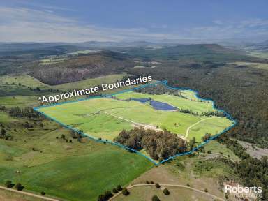 Farm For Sale - TAS - Sassafras - 7307 - 200 acres of fertile land in renowned Sassafras  (Image 2)