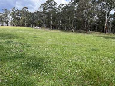 Farm Auction - NSW - Red Range - 2370 - DEVELOPMENT and GRAZING OPPORTUNITY  (Image 2)