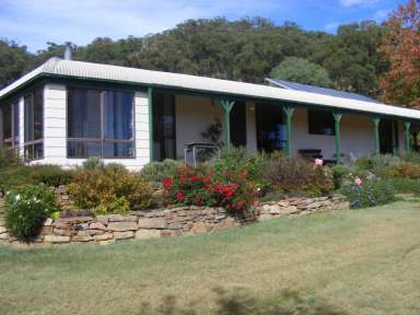 Farm Auction - NSW - Red Range - 2370 - DEVELOPMENT and GRAZING OPPORTUNITY  (Image 2)