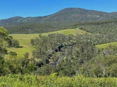 Farm For Sale - NSW - Caffreys Flat - 2424 - Invest in Timber  (Image 2)