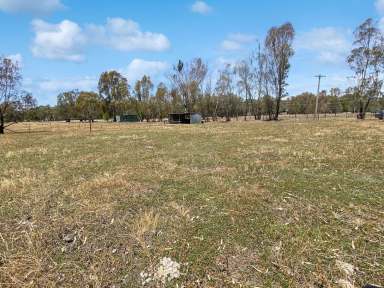 Farm For Sale - NSW - Narrandera - 2700 - UNIQUE BLOCK  (Image 2)