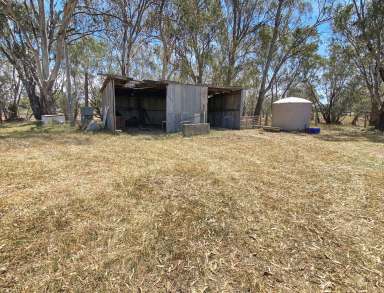 Farm For Sale - NSW - Narrandera - 2700 - UNIQUE BLOCK  (Image 2)