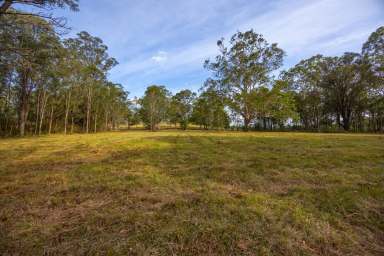 Farm Sold - NSW - Theresa Park - 2570 - Ready To Make It Your Own...  (Image 2)