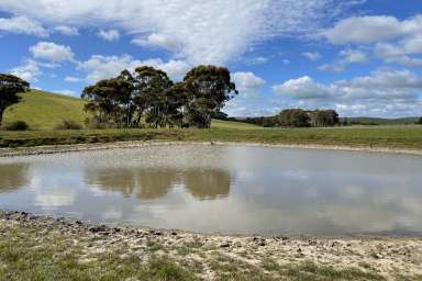 Farm For Sale - VIC - Coleraine - 3315 - Quality Land in Great Area - All reasonable offers considered  (Image 2)