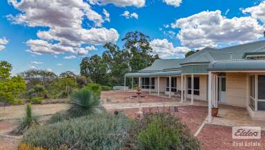 Farm For Sale - WA - Toodyay - 6566 - Eco-Friendly Country Retreat: Spacious 4-Bedroom Home on 17 Acres with Olive Grove  (Image 2)