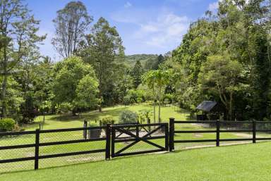 Farm For Sale - NSW - Nunderi - 2484 - GARDEN OF EDEN  (Image 2)