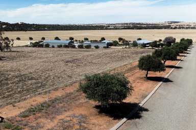 Farm For Sale - WA - York - 6302 - Unmatched Views and Serenity at 37 Lewis Rd, York  (Image 2)