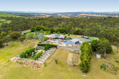 Farm Auction - NSW - Goulburn - 2580 - Exceptional Rural Living  (Image 2)