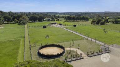 Farm For Sale - VIC - Balnarring - 3926 - Prime Equestrian Estate in Blue Chip Location  (Image 2)