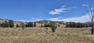 Farm For Sale - NSW - Yarrabin - 2850 - "Redbank"  (Image 2)